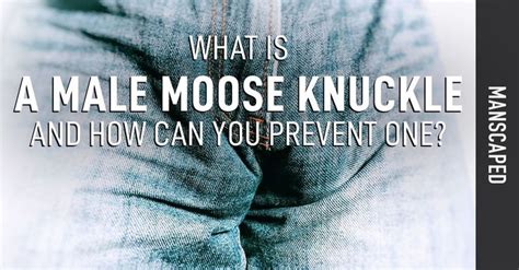 moose knuckles meaning|moose knuckle secrets.